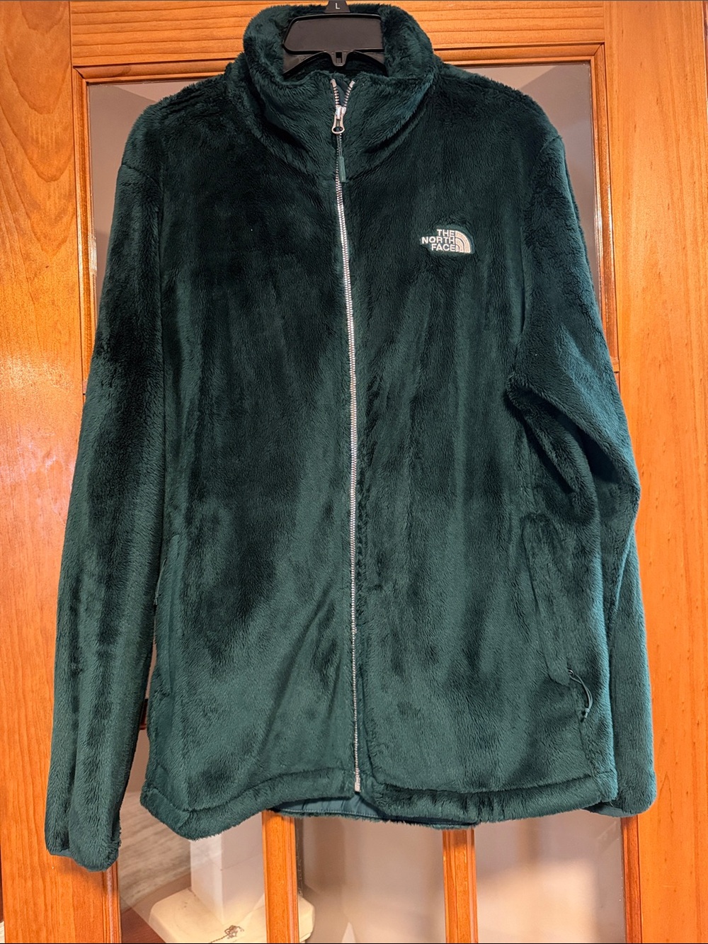The North Face Green Plush Full-Zip Teddy Jacket